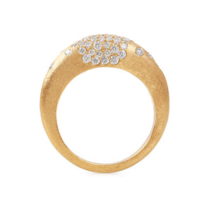 DIAMOND 14K GOLD SCATTERED DOME RING
Scattered Diamond Dome Ring
Diamond Dome Ring
Scattered Diamond Ring
Dome Shaped Diamond Ring
Designer Diamond Dome Ring
Diamond ring
Dome ring
Scattered diamond
Engagement ring
Fine jewelry
Luxury ring
Designer jewelry
Fashion rings
Statement rings
