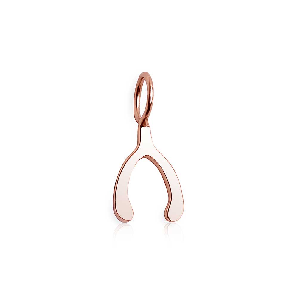 Solid Gold Wishbone Charm